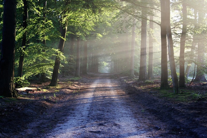 Offbeat Trails